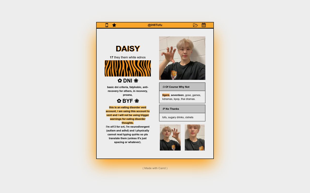 Carrd profile picture for @carat